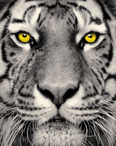 Ковры дизайн 20765 цвет 22045 Фэнси